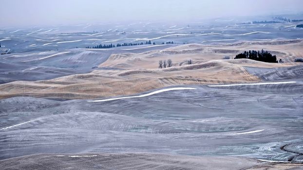 Scenic view from Steptoe Butte Park. Moscow. Idaho. USA.