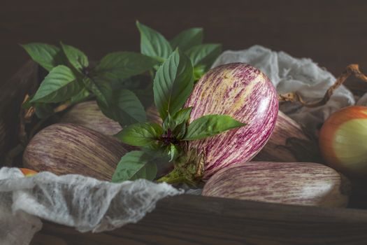 Purple graffiti eggplants, onion and green fresh basil in a wooden box in a vintage wooden background in rustic style, selective focus