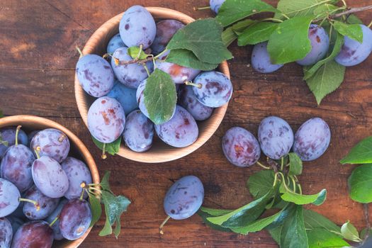 Fresh plums with green leaves in wooden pot on the dark wooden table. Top view. Toned.