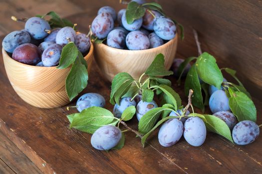 Fresh plums with green leaves in wooden pot on the dark wooden table. Shallow depth of field. Toned.