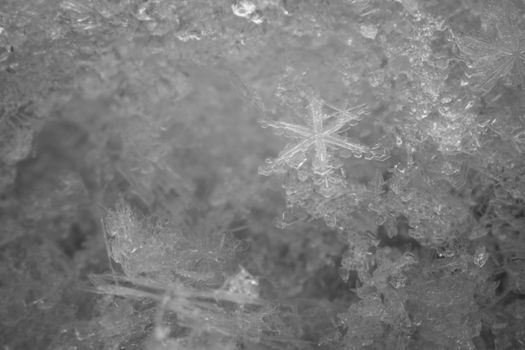 snowflake macro photo white snow winter Northern city