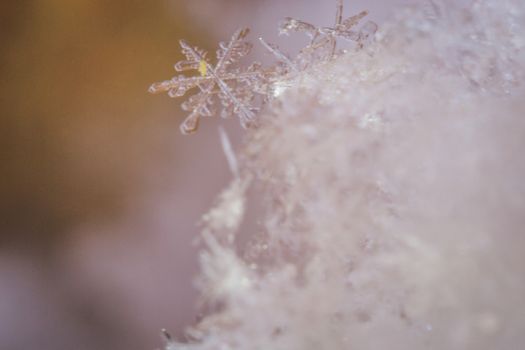 snowflake macro photo white snow winter Northern city