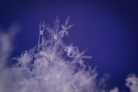 snowflake macro photo white snow winter Northern city