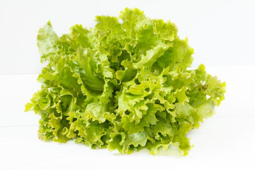 Fresh healthy yummy organic leaves of Green Frisee lettuce. Light background.