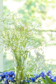 White spring flower in glass on windowsill. Shallow depth of field.