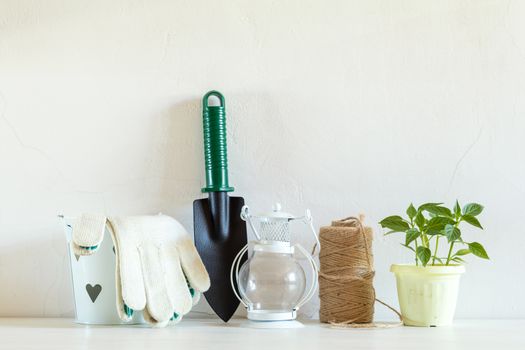 Spring gardening light concept. Pepper seedling in pot, hank of rope and gardening tools on a white table. White wall background.