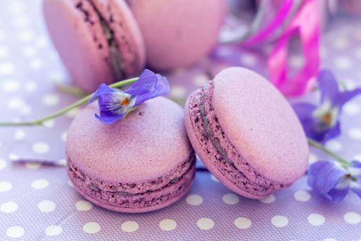 Violet sweet delicious macaroons and fresh violas on napkin polka dot. Shallow depth of field. Coloring toned photo.