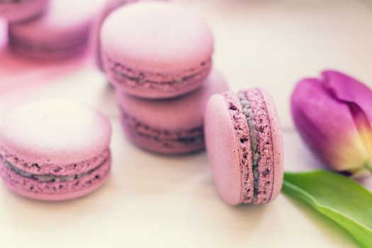 Violet sweet delicious macaroons and fresh tulips on white background. Shallow depth of field. Coloring toned photo.