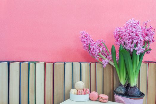 Many different books on violet wall. Flowers pink hyacinth. White and pink sweet delicious macaroons cake. Cozy home concept.