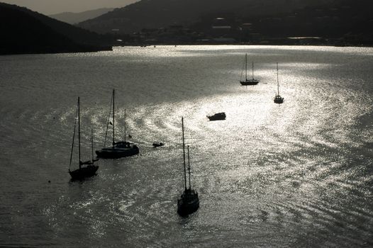 High angle view on sail boats anchored in Saint Thomas harbor