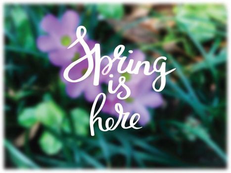 Bright spring background and hello spring text. Greeting card concept 