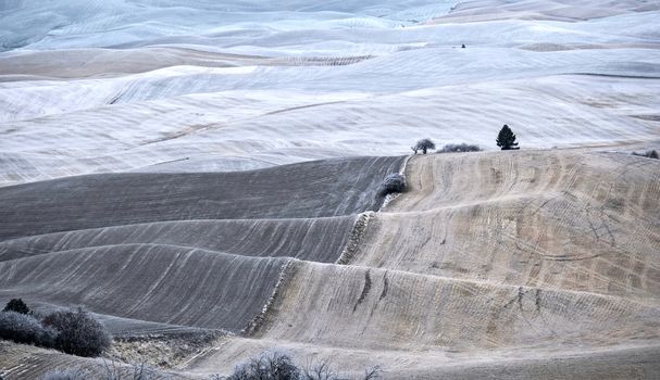 Farm lands covered with frost and snow in winter.