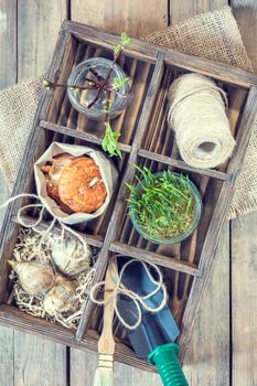 Gardening and planting concept. Seedlings garden tools tubers bulbs gladiolus and hyacinth branch of trees with buds in wooden box. Toned and processing photo.