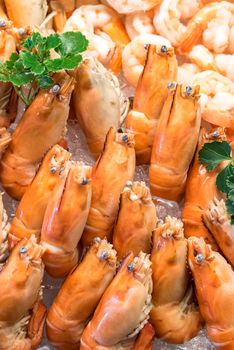 Freshly cooked prawns - shrimp on ice