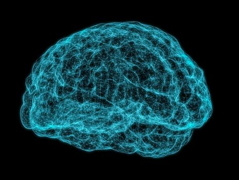 X-ray image of human brain on dark background. 3D Illustration