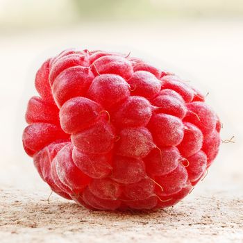 Lots of raspberry on background.