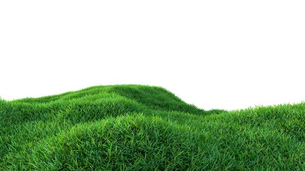 Grass background, fresh green fields, isolated on white background. 3d illustration