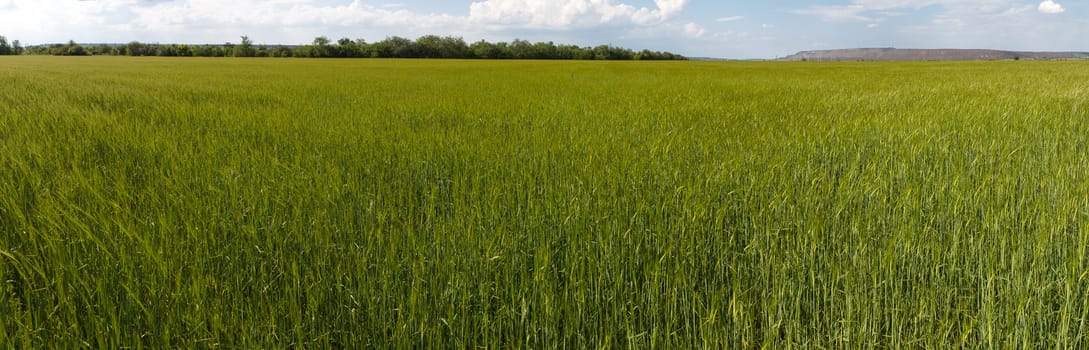 Photo panorama of fields on a sunny day.