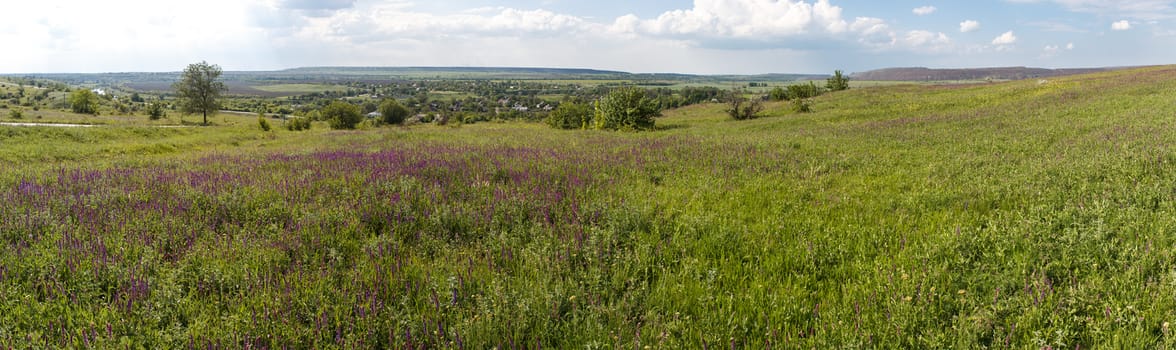 Photo panorama of fields on a sunny day.