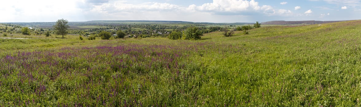 Photo panorama of fields on a sunny day.