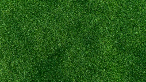 Green grass field on small hills, isolated on white background. 3d illustration