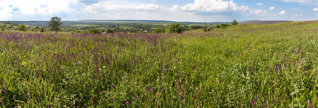 Photo panorama of fields on a sunny day.