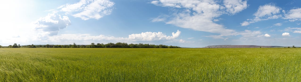 Photo panorama of fields on a sunny day.