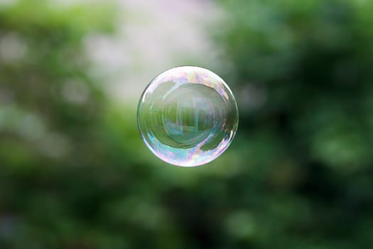 Soap ball in daylight against a background of greenery.