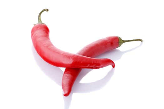 Spicy, fresh red chili on a white background.