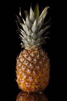 Ripe pineapple on a black background.