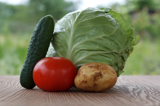 One juicy cabbage, tomato, cucumber and potatoes on wooden background.