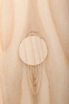wood cut in hafl, close up abstract shot