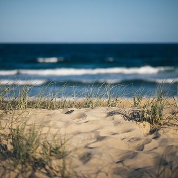 Sunshine beach at Noosa, Sunshine Coast, Queensland, Australia.