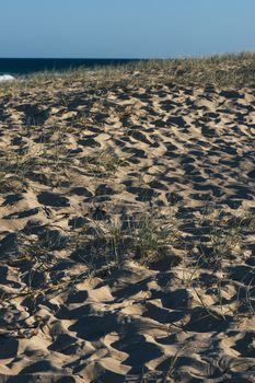 Sunshine beach at Noosa, Sunshine Coast, Queensland, Australia.