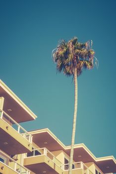 Retro Californian Beach Hotel With Palm Tree And Copy Space