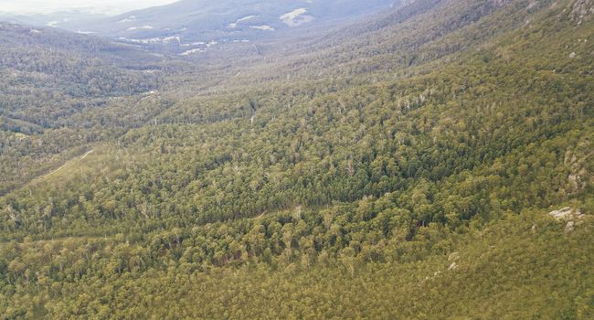 View on top of Mount Roland in Tasmania during the day.