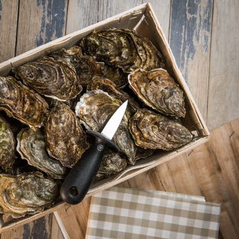 Raw oysters with lemon on wood board and bottle of wine and glass, France