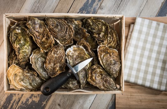 Raw oysters with lemon on wood board and bottle of wine and glass, France