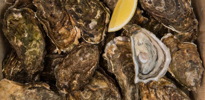 Raw oysters with lemon on wood board and bottle of wine and glass, France