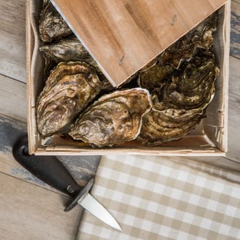 Raw oysters with lemon on wood board and bottle of wine and glass, France