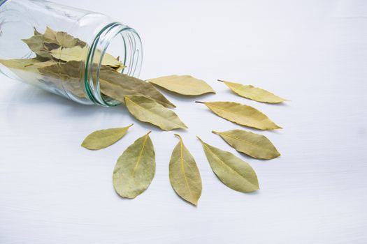 Dried bay leaves in glass jar on white wooden background.