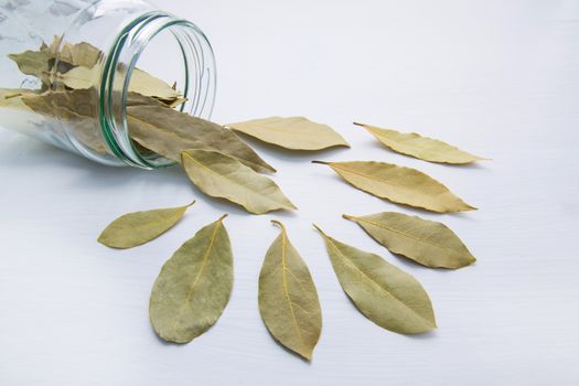 Dried bay leaves in glass jar on white wooden background.