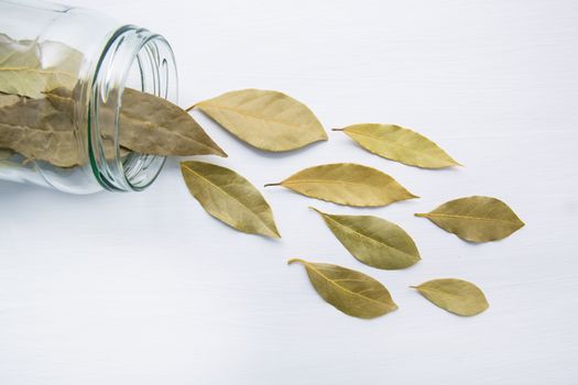 Dried bay leaves in glass jar on white wooden background.