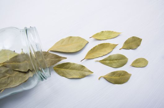 Dried bay leaves in glass jar on white wooden background.