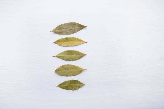 Dried bay leaves on white wooden background.