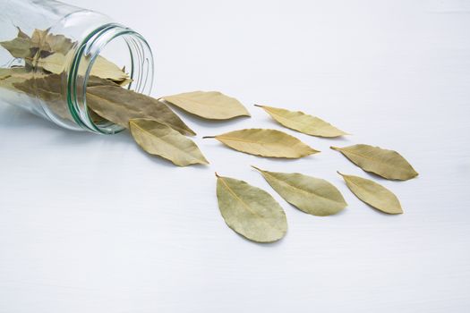 Dried bay leaves in glass jar on white wooden background.