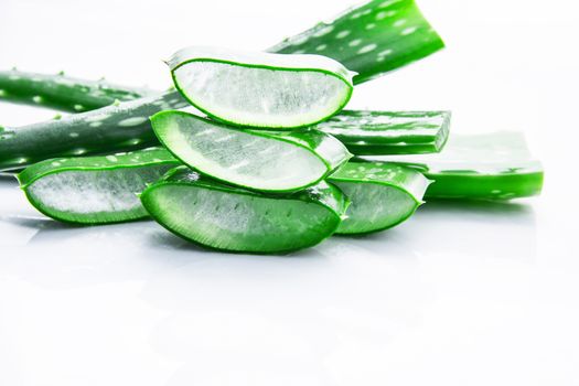 Aloe vera fresh leaves with slices aloe vera gel. isolated over white with copy space.