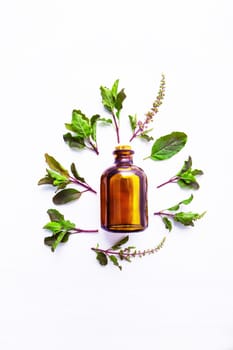 Holy Basil Essential Oil in a Glass Bottle with Fresh Holy Basil white wooden background.