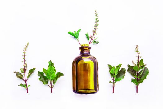 Holy Basil  Essential Oil in a Glass Bottle with Fresh Holy Basil white wooden  background.     