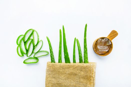 Aloe vera fresh leaves with aloe vera gel on wooden measuring spoon. isolated over white